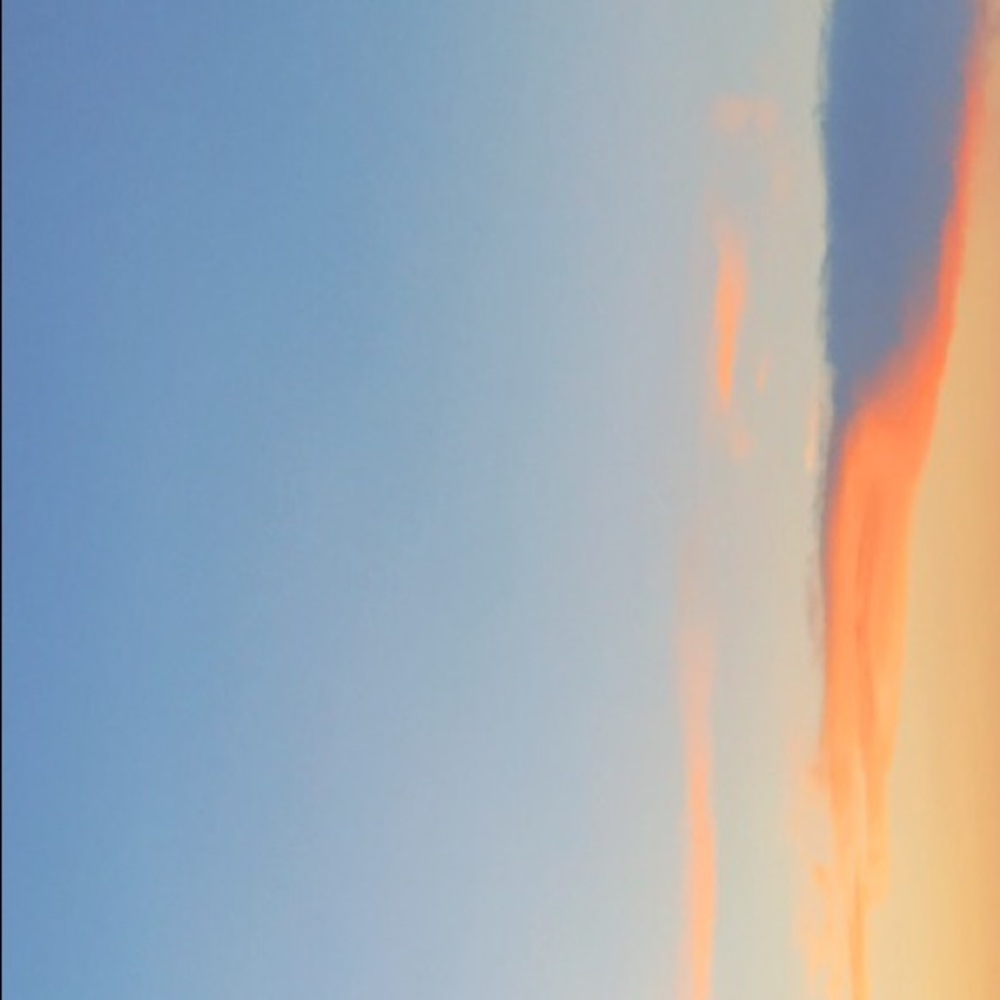 Meet your Posher, Blake